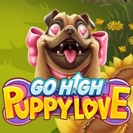Play Go High Puppy Love slot by RubyPlay on spinsharkcasino.eu